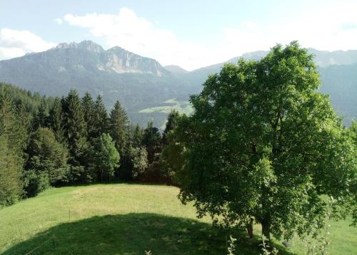 a tree in a field with mountains in the background at Urlaub wie früher bei Oma in Hermagor