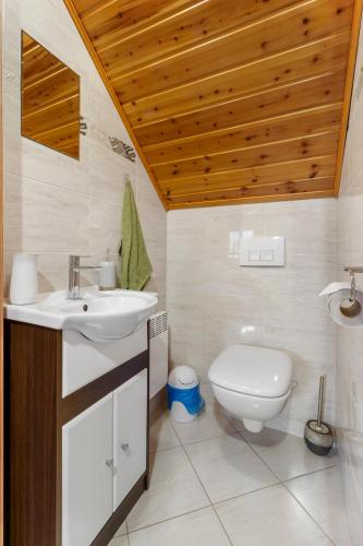 a bathroom with a sink and a toilet at Dom wakacyjny Danielsja in Osiek
