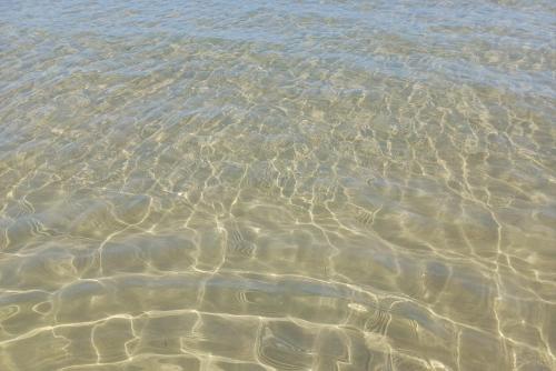 a close up of the shallow water of a beach at Luledielli in Montecilfone