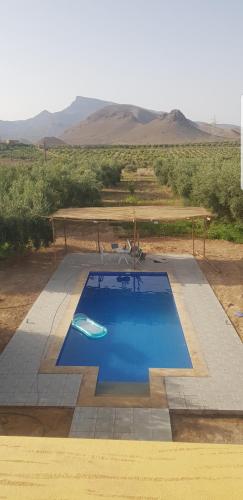 une grande piscine bleue au milieu d'un désert dans l'établissement Havre de paix, à Taourirt