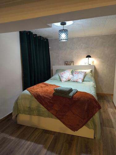 - une chambre dotée d'un lit avec des rideaux verts dans l'établissement Appartement F2 40m2, à Stains