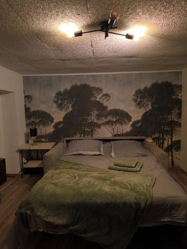 une chambre avec un lit avec un ventilateur de plafond dans l'établissement Appartement F2 40m2, à Stains