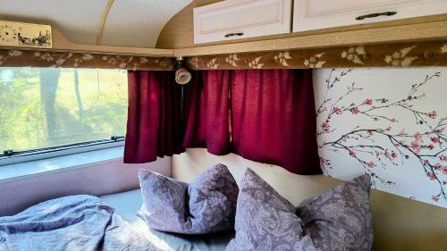 Et opholdsområde på Camping Poiana Stelelor