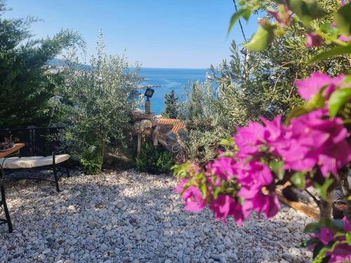 a garden with pink flowers and a bench and the ocean at Captain's View in Dobra Voda