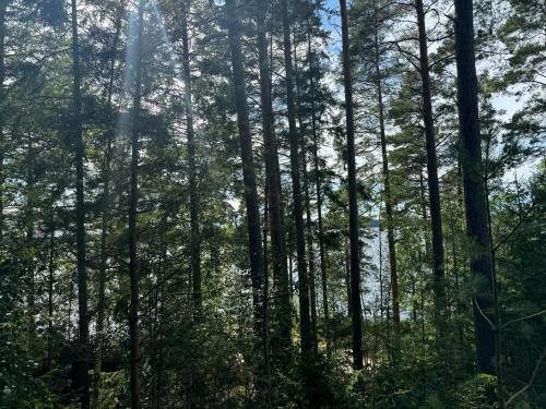 SvanhultにあるTranan glampingのギャラリーの写真