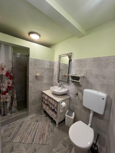 ein Badezimmer mit Toilette, Waschbecken und Dusche in der Unterkunft Old Lady in Ogulin