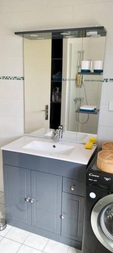 une salle de bain avec un lavabo et un miroir dans l'établissement Ferme rénovée tout confort en pleine campagne, à Larbey