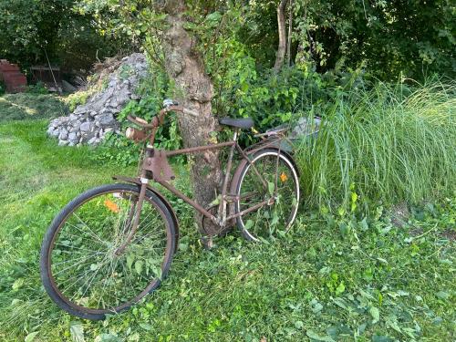 an old rusty bike parked next to a tree at Ferienwohnung mit Garten in Meyenburg - KEINE MONTEURE in Schwanewede
