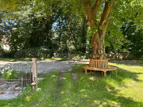 a wooden bench sitting under a tree in a park at Ferienwohnung mit Garten in Meyenburg - KEINE MONTEURE in Schwanewede