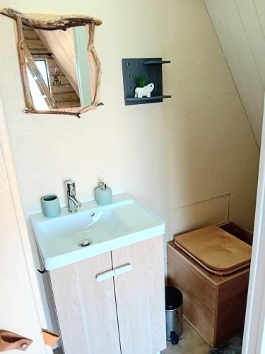 une salle de bain avec un lavabo et un miroir dans l'établissement Le Chalet dans les Près, à Les Pégués