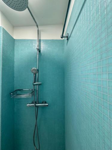 une salle de bain avec douche aux carreaux bleus dans l'établissement Joli studio Jardin des Plantes, à Paris