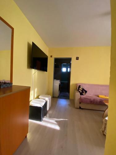a living room with a pink couch and a purple couch at Apartament Lore in Orşova