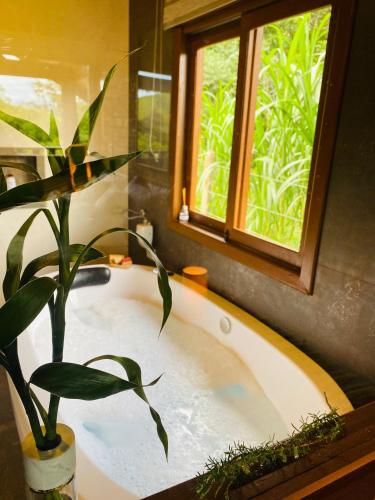 a bathroom with a bath tub with a plant in it at Chale com hidro na Serra da Mantiqueira in Sapucaí-Mirim