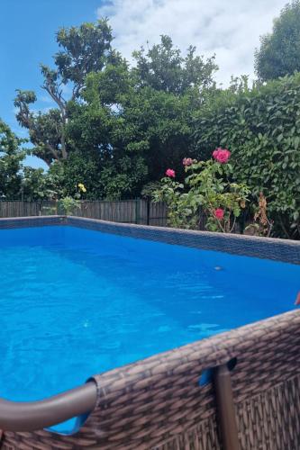 Villa Maddalena Ischia -6 ospiti, giardino, parcheggio, terrazzi e piscina photo 3