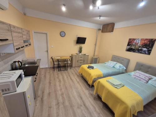 a hospital room with two beds and a television at Szahara Vendégház in Kerekegyháza