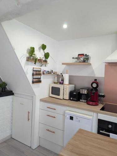 Η κουζίνα ή μικρή κουζίνα στο Le Bangorcoon Duplex Véro