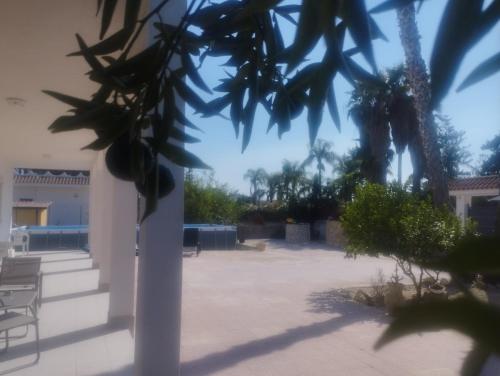 a view of a courtyard with a palm tree at Caledonia Relax 2 in Arenella