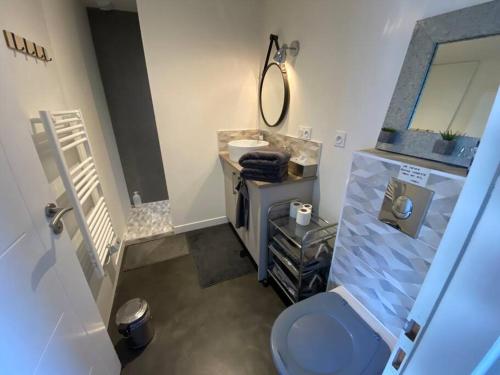 une salle de bain avec des toilettes bleues et un lavabo dans l'établissement Nantes sud Loire St Sebastien Sur LoireMaison T 2, à Saint-Sébastien-sur-Loire