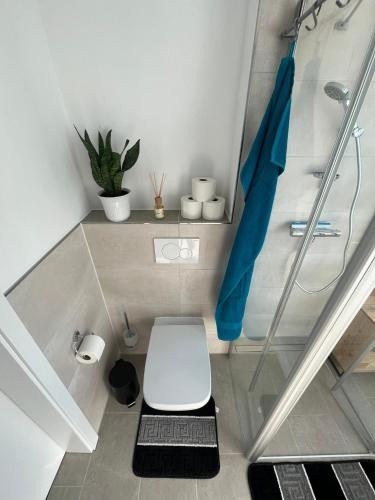 a small bathroom with a toilet and a shower at FeWo Foorden Wohnglück 1 in Hesel