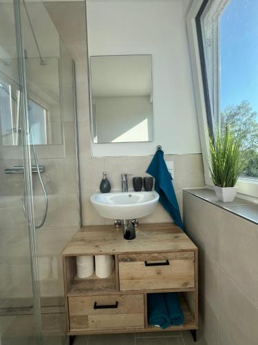 a bathroom with a sink and a glass shower at FeWo Foorden Wohnglück 1 in Hesel