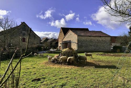 a herd of sheep grazing in a field next to a building at Charming Country House In The Heart Of Burgundy in Cormatin
