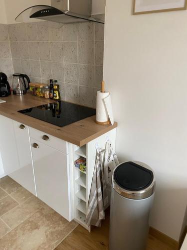 Η κουζίνα ή μικρή κουζίνα στο Hilo Charming Appartment Saint Laurent Sur Sane