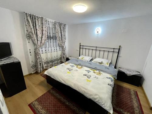 a bedroom with a bed and a television in it at Căşuţa LA CUCU in Vadu Moţilor