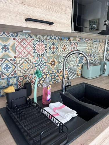 - un évier de cuisine avec un porte-vaisselle à côté dans l'établissement L'Evasion, parking gratuit proche lac, à Annecy