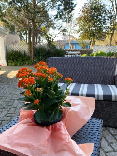 a bouquet of orange flowers in a vase on a bench at Pousada Cabanas Rota do Sol in Gramado