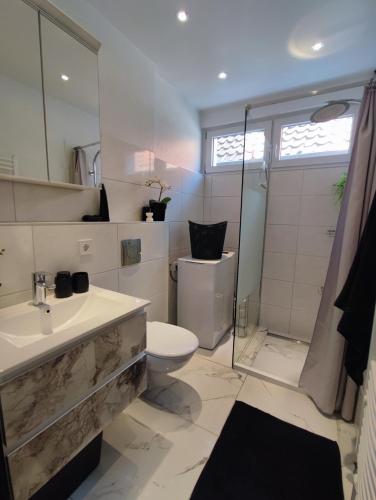 a bathroom with a toilet and a sink and a shower at Ferienwohnung im Harz 1 in Goslar