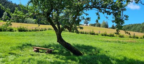 a park bench under a tree in a field at Chalupa Vápenka - kapacita 10 osob in Stárkov
