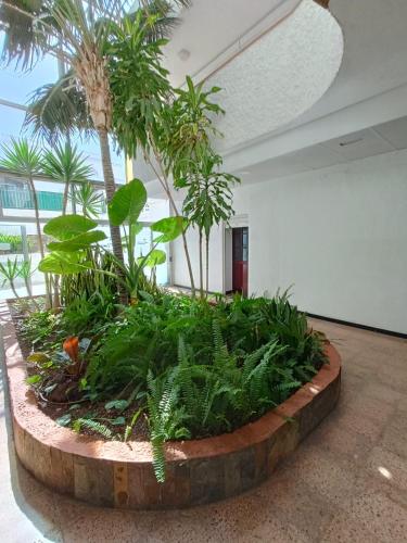 Playa del Inglés 5 min walk from Yumbo! 512