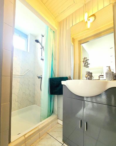 une salle de bain avec un lavabo, une douche et un miroir dans l'établissement La Cabane d'Aselia - petite Maison de Pêcheur, à Le Portel