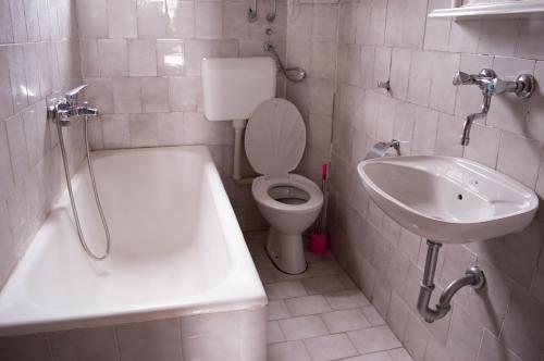 a bathroom with a toilet and a sink at Tanja Terrace Appartments Dobre Vode in Dobra Voda