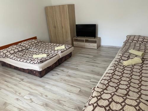 a room with two beds and a television in it at ubytovanie OPÁL in Štúrovo