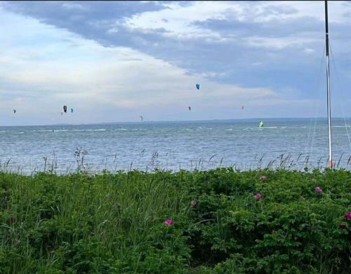 Φυσικό τοπίο κοντά σε αυτό το διαμέρισμα