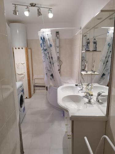 une salle de bain avec un lavabo, des toilettes et un miroir dans l'établissement Gîte familial, à Rion-des-Landes