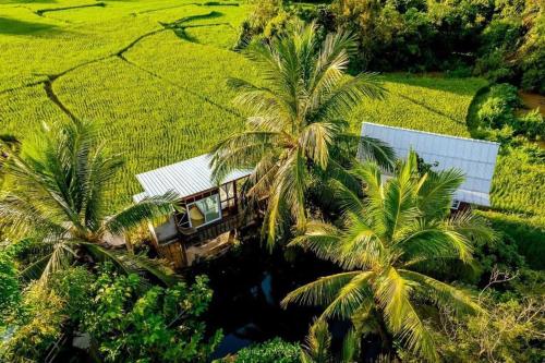 an aerial view of a house with palm trees at ต้งโฮมสเตย์ กลางทุ่งนา Local Homestay and View in Nan