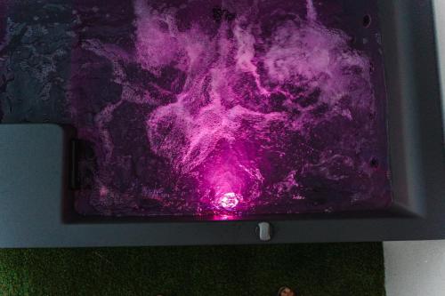 a computer screen with a purple substance on it at Casanova Bluelife in Trieste