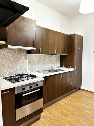 Kuchyň nebo kuchyňský kout v ubytování RESIDENCE LUPIAE