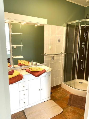 a bathroom with a sink and a shower at Chadenn in Lannion