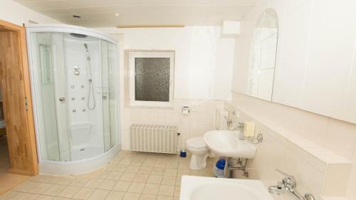 ein Bad mit einer Dusche, einem Waschbecken und einem WC in der Unterkunft Pension Zum Froschkönig in Lübbenau