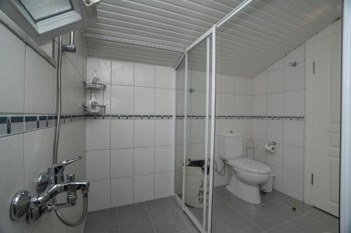 a bathroom with a toilet and a shower at Villa mit einzigartigem Ausblick in Alanya