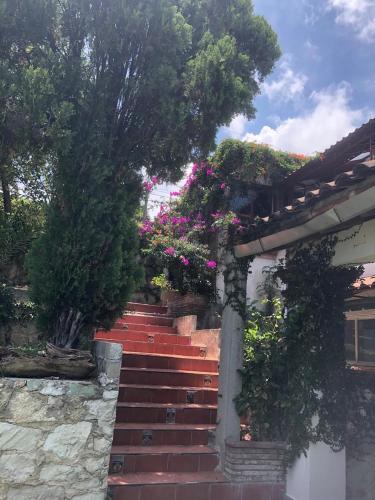 Κήπος έξω από το Casa de huéspedes vista hermosa