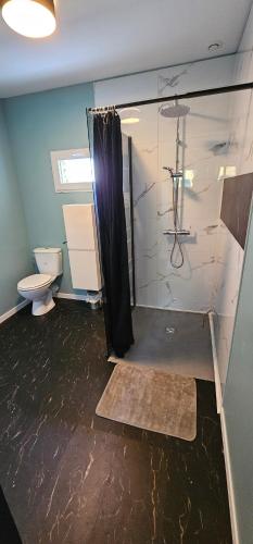 a bathroom with a shower and a toilet at Le haras de gus et lulu in Guémardières