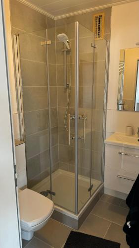 a shower with a glass door in a bathroom at Urlaub im Schwarzwald in Lenzkirch