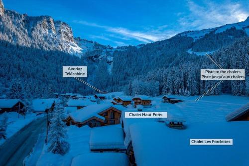 Hauts forts Prodains Avoriaz - Mountain Voyages