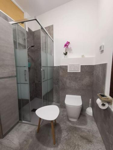 a bathroom with a toilet and a glass shower at Open Space in Bassano del Grappa