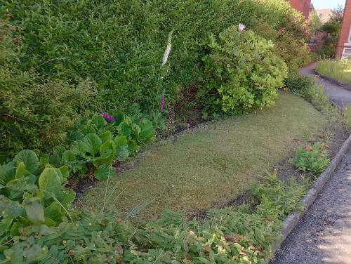a garden with flowers and plants on a street at St Annes Lodge Garden Flat AWARD WINNING HOSTS in Lytham St Annes