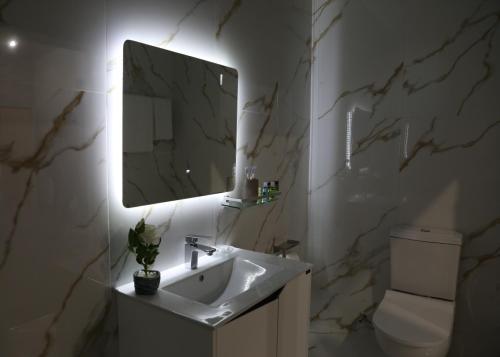 a bathroom with a sink and a mirror and a toilet at A E K A Hotel in Yerevan